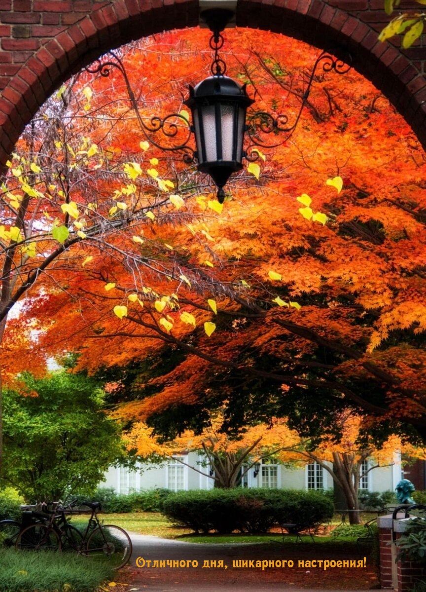 Отличного дня, шикарного настроения!