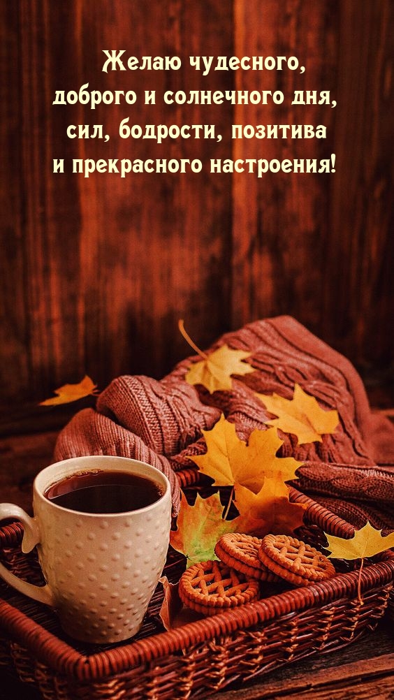 Желаю чудесного, доброго и солнечного дня