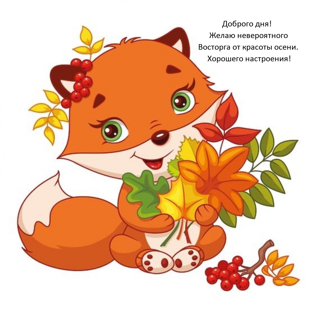 Доброго дня! Желаю невероятного восторга от красоты осени.