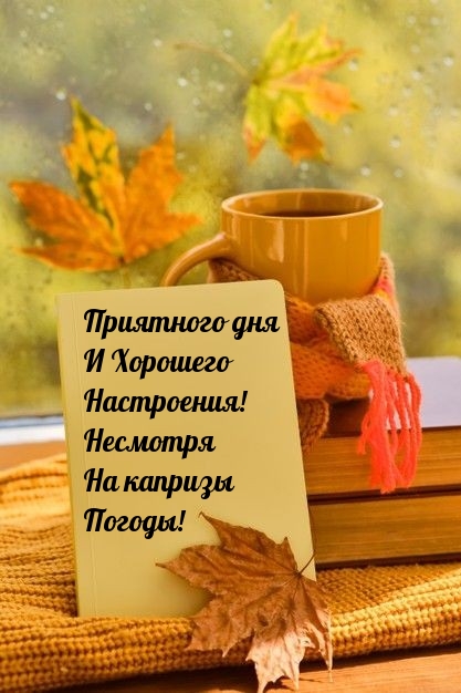 Приятного дня и хорошего настроения! Несмотря на капризы погоды!