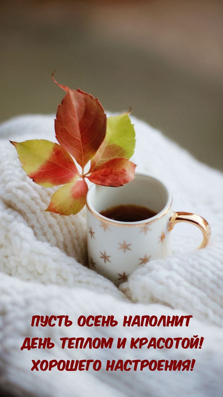 Пусть осень наполнит день теплом и красотой! Хорошего настроения!