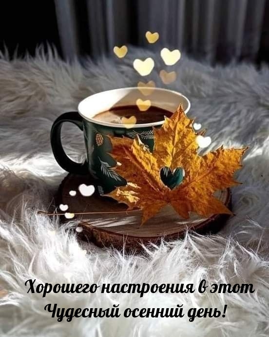 Хорошего настроения в этот чудесный осенний день!