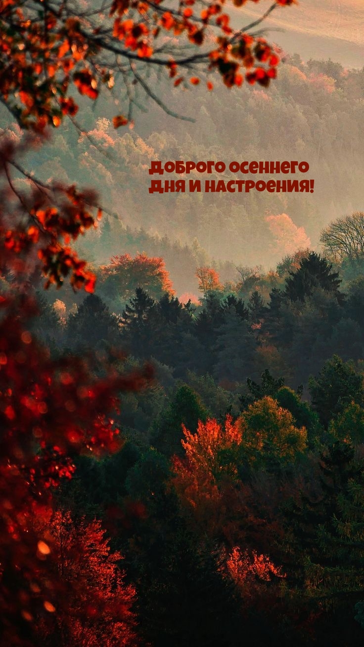 Доброго осеннего дня и настроения!