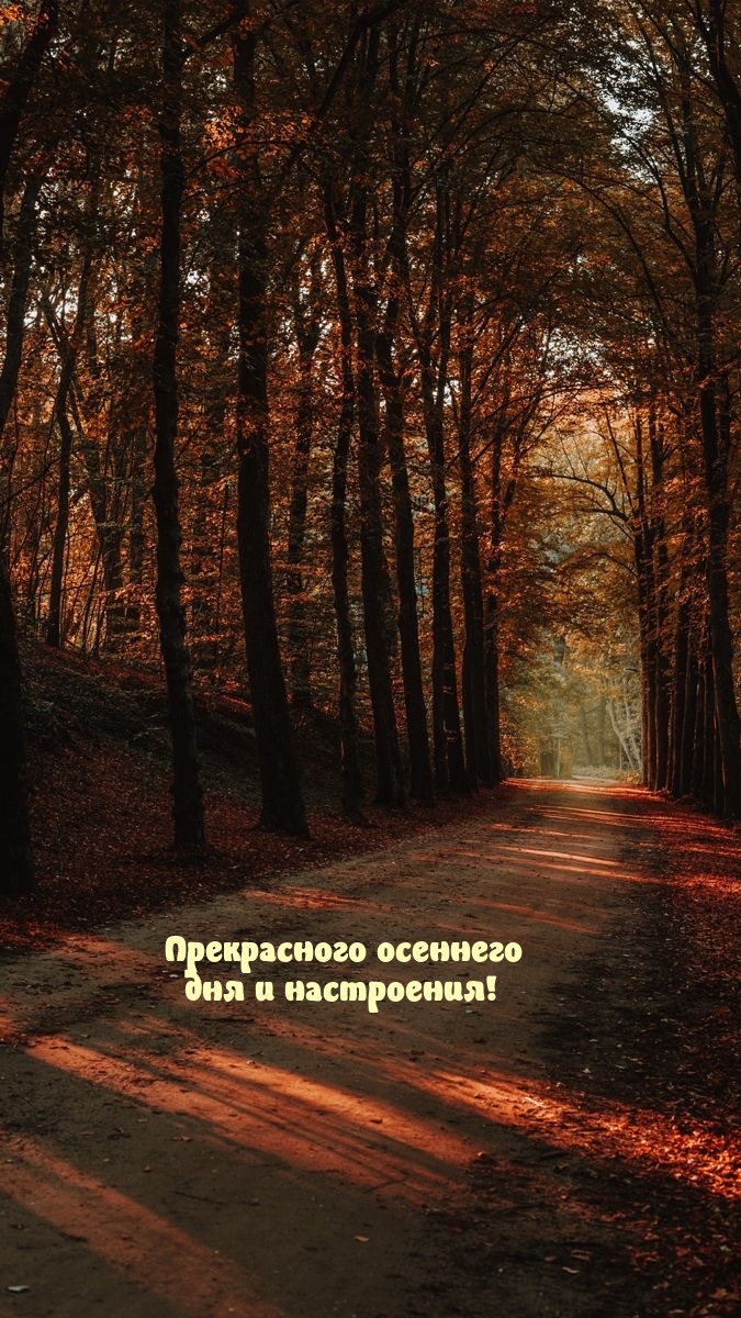 Прекрасного осеннего дня и настроения!