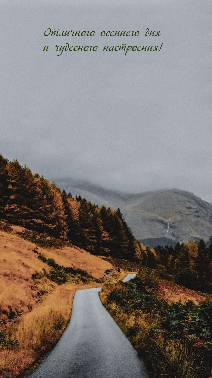 Отличного осеннего дня и чудесного настроения!