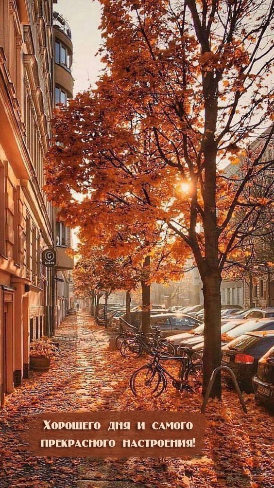 Хорошего дня и самого прекрасного настроения!