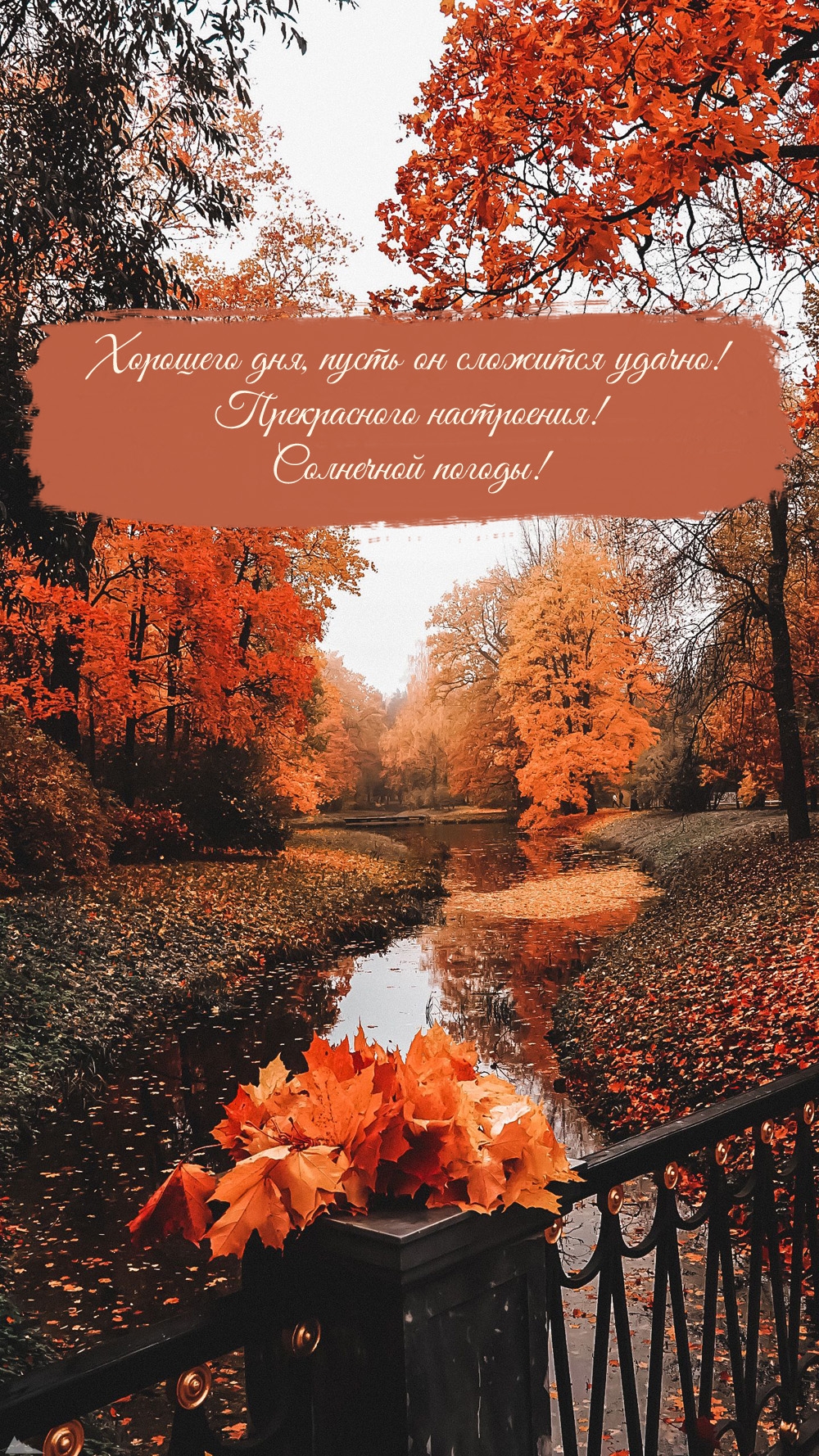 Хорошего дня, пусть он сложится удачно! Прекрасного настроения!