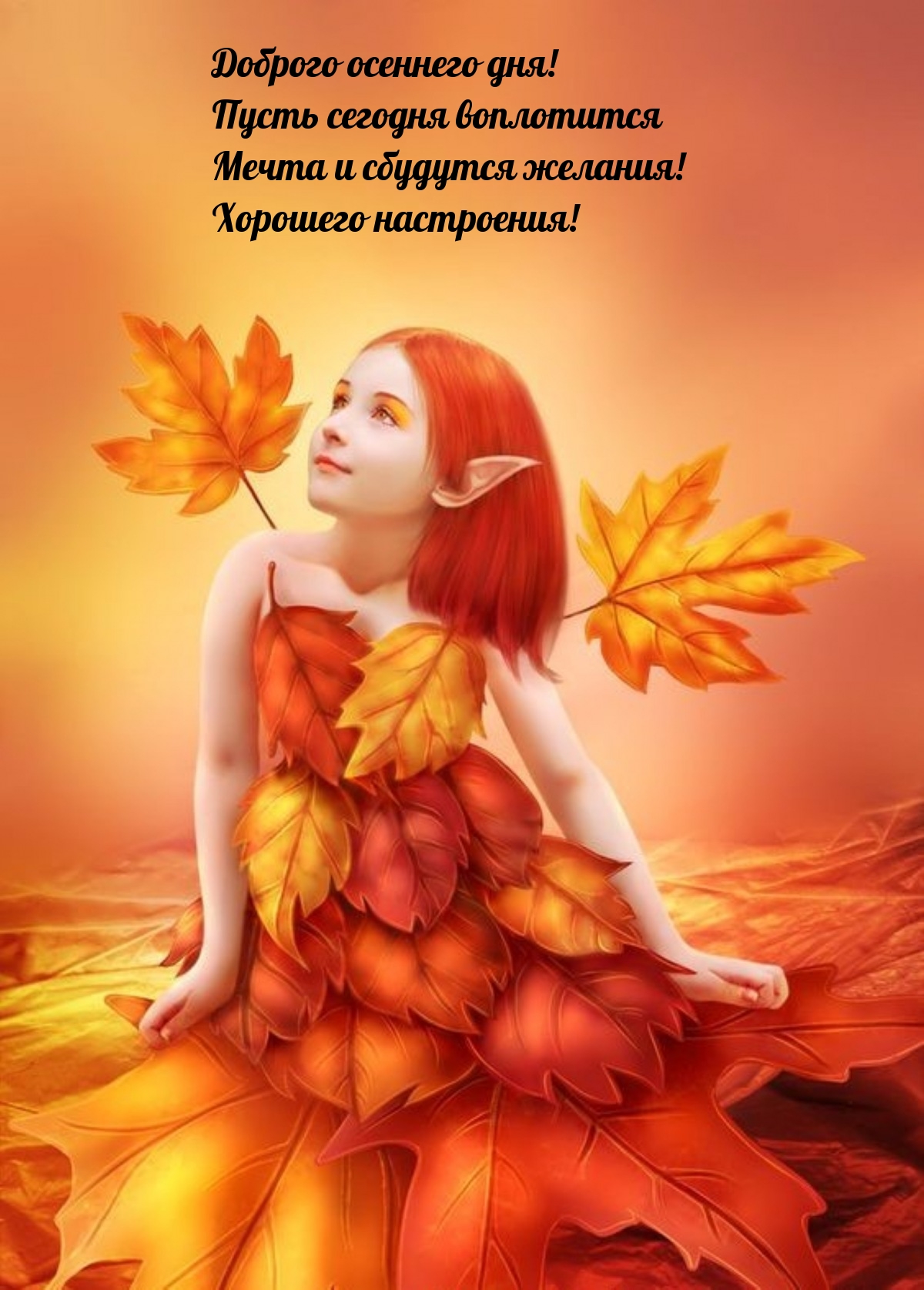 Доброго осеннего дня! Пусть воплотится мечта и сбудутся желания!