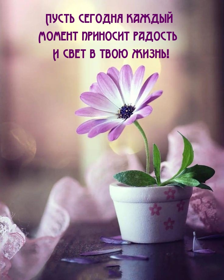 Пусть сегодня каждый момент приносит радость и свет в твою жизнь!