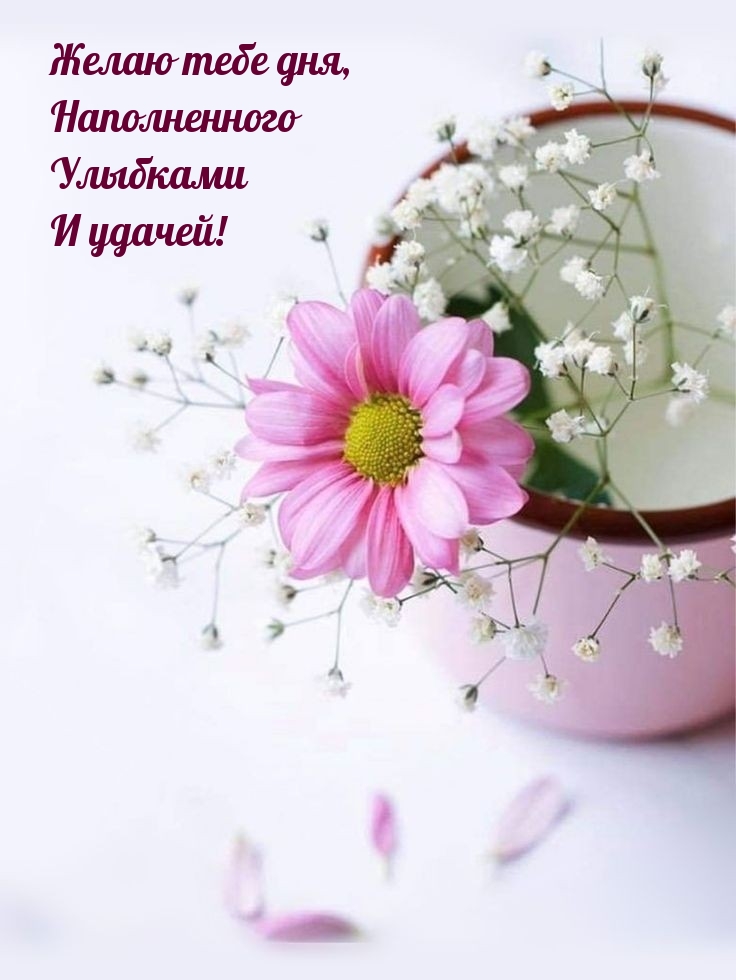 Желаю тебе дня, наполненного улыбками и удачей!