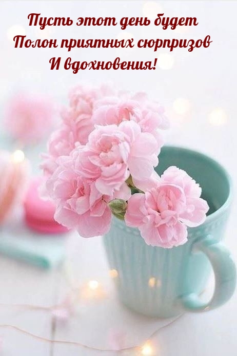 Пусть этот день будет полон приятных сюрпризов и вдохновения!