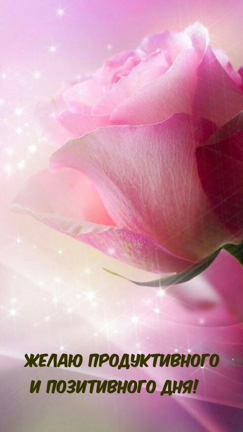 Желаю продуктивного и позитивного дня!