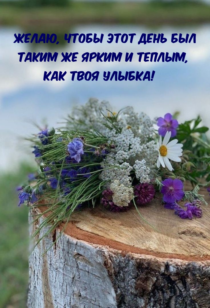 Чтобы этот день был таким же ярким и теплым, как твоя улыбка!