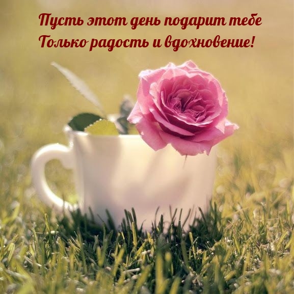 Пусть этот день подарит тебе только радость и вдохновение!