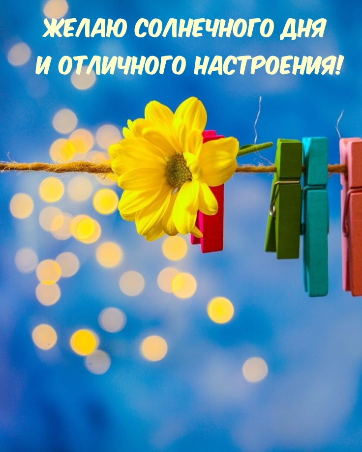 Желаю солнечного дня и отличного настроения!