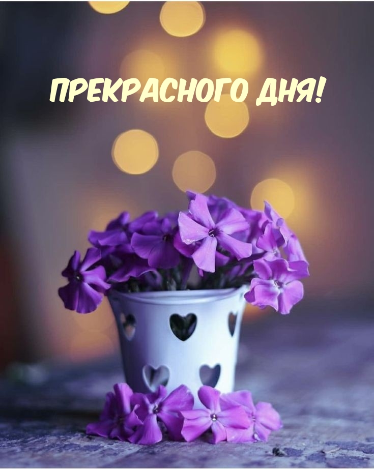 Прекрасного дня!