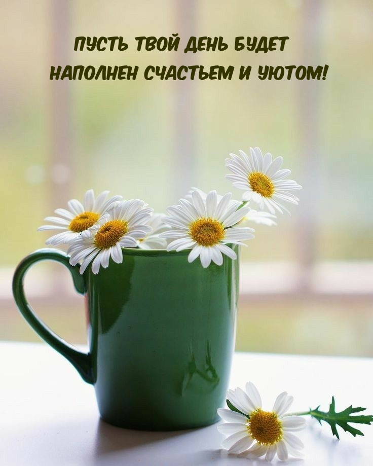 Пусть твой день будет наполнен счастьем и уютом!
