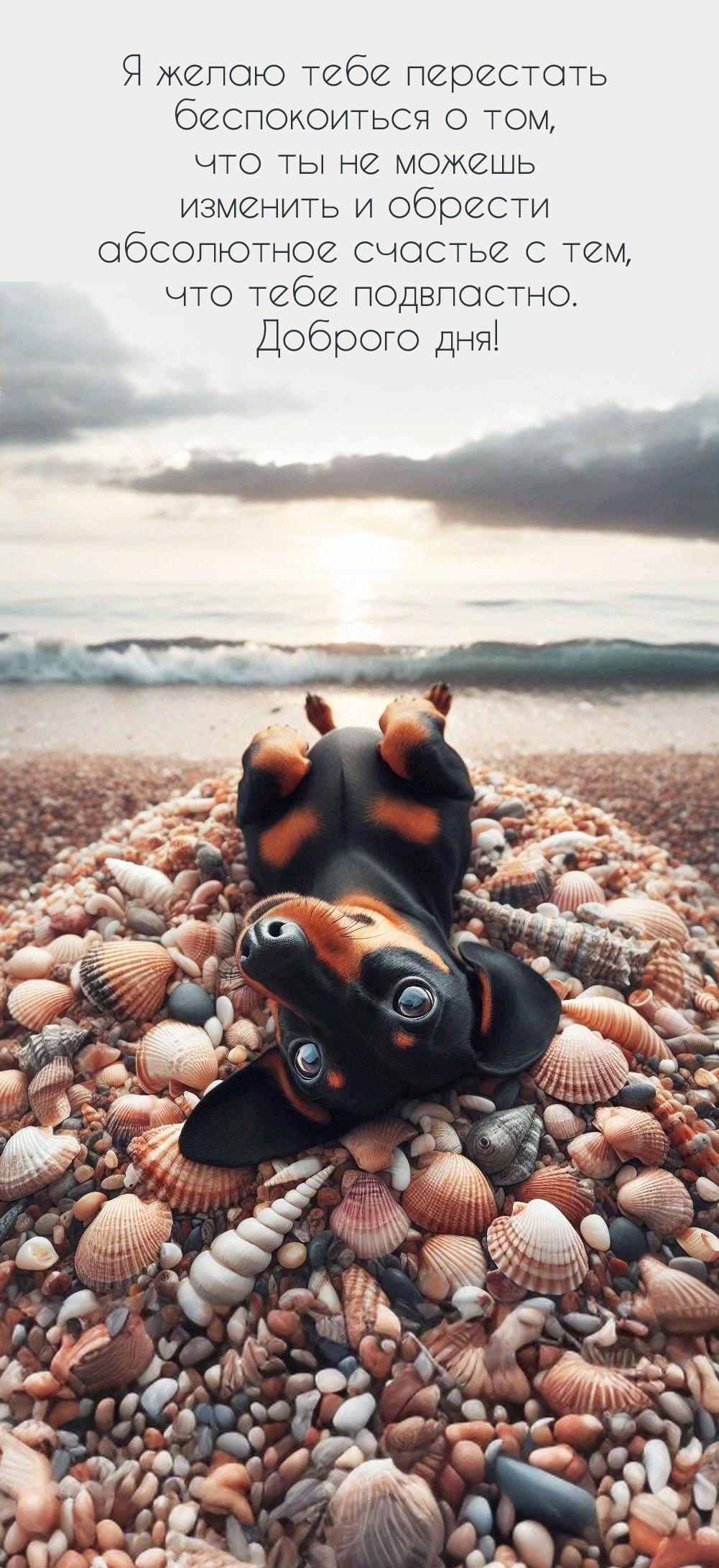 Я желаю тебе перестать беспокоиться Доброго дня!