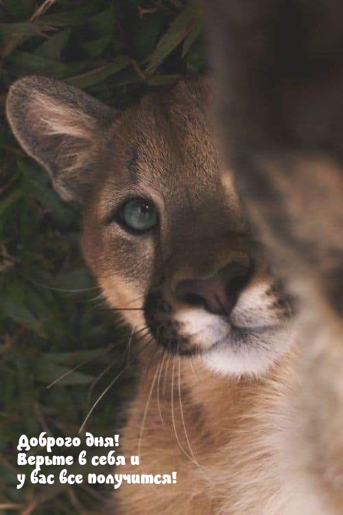 Доброго дня! Верьте в себя и у вас все получится!