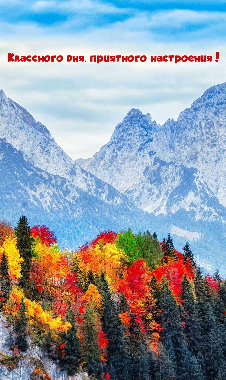 Классного дня, приятного настроения!