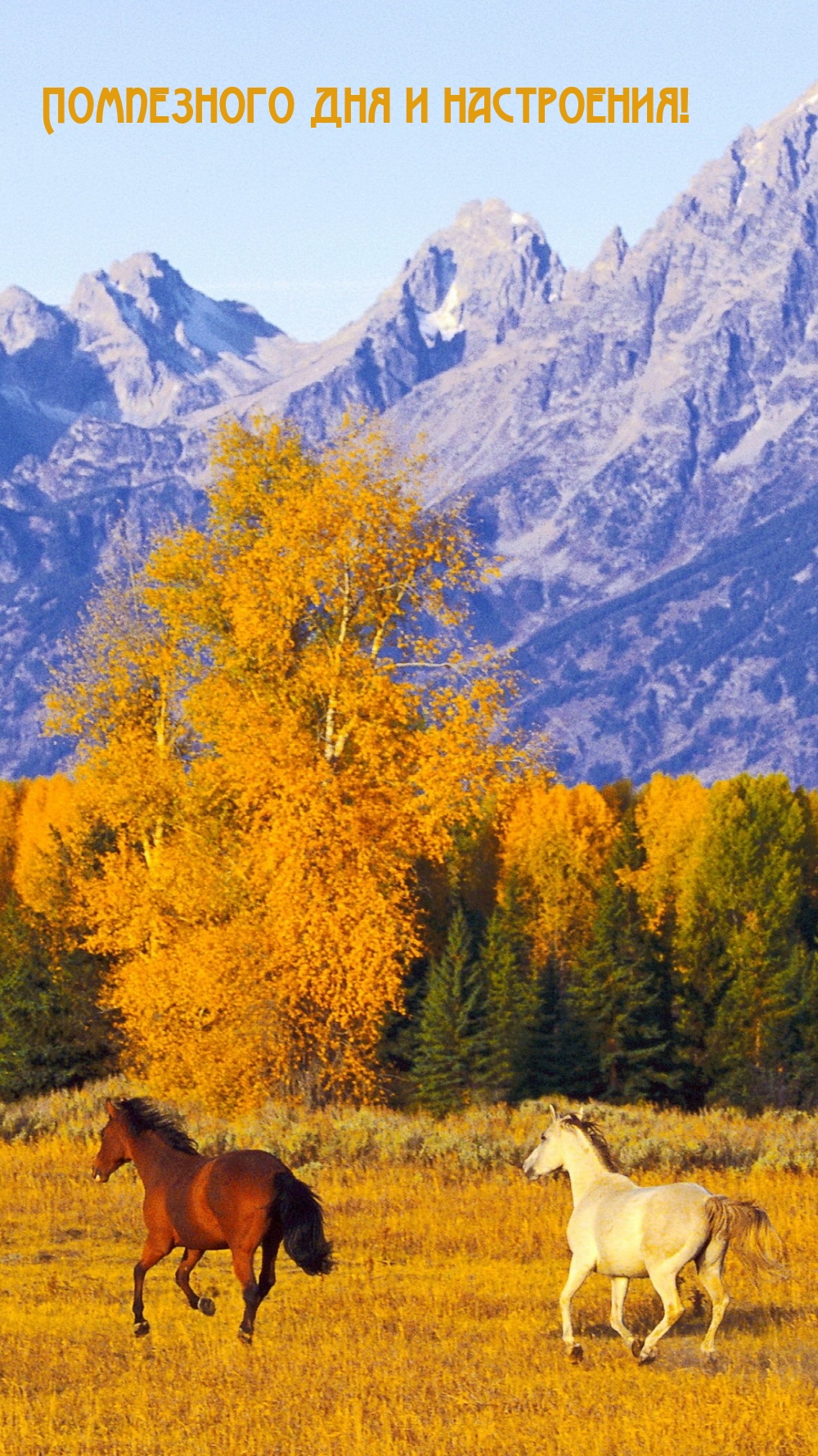 Помпезного дня и настроения!