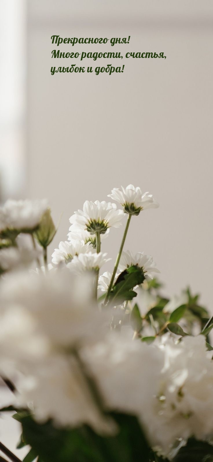 Прекрасного дня! Много радости, счастья, улыбок и добра!