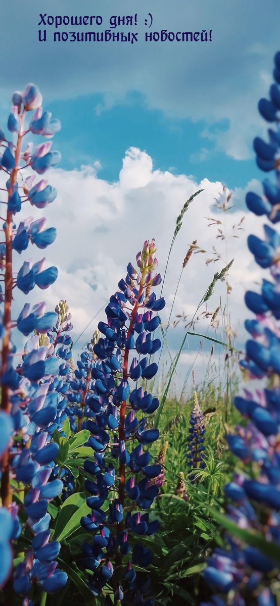 Хорошего дня! :) И позитивных новостей!