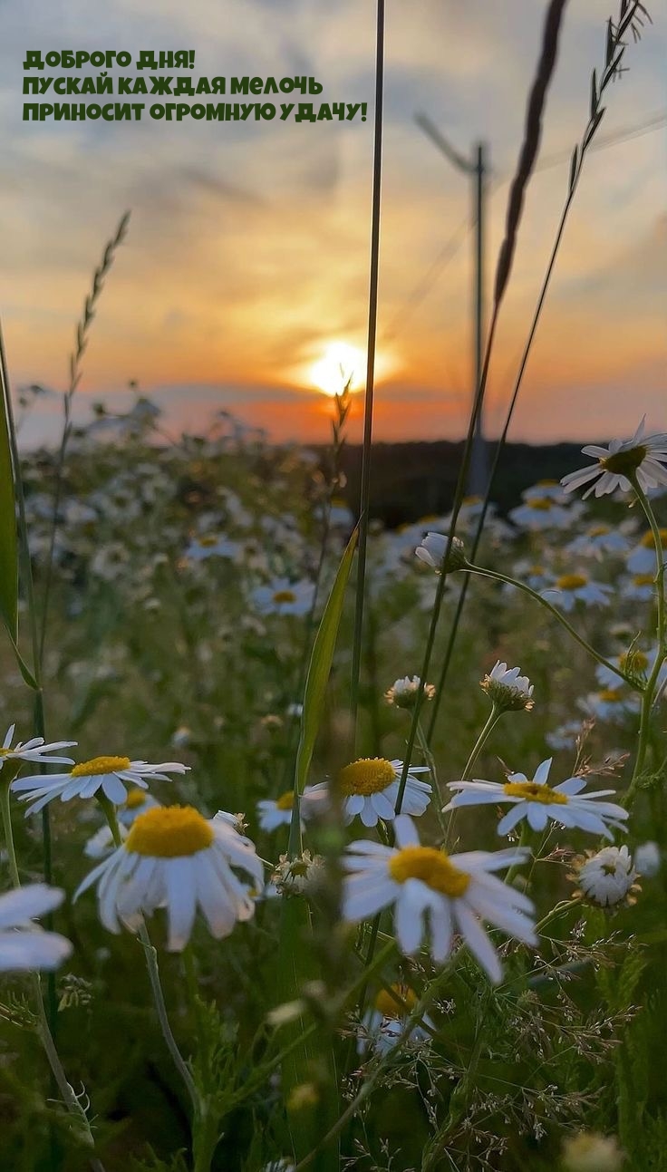 Доброго дня! Пускай каждая мелочь приносит огромную удачу!