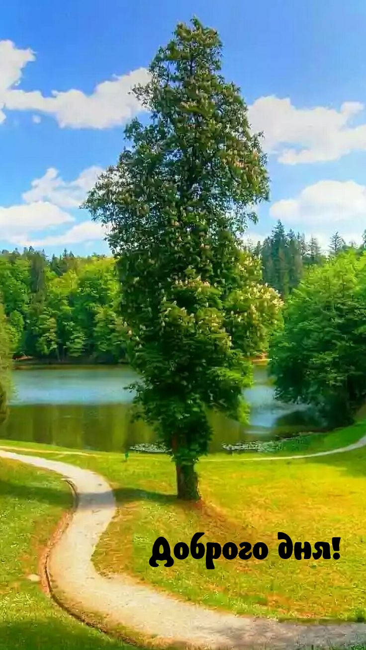 Доброго дня!