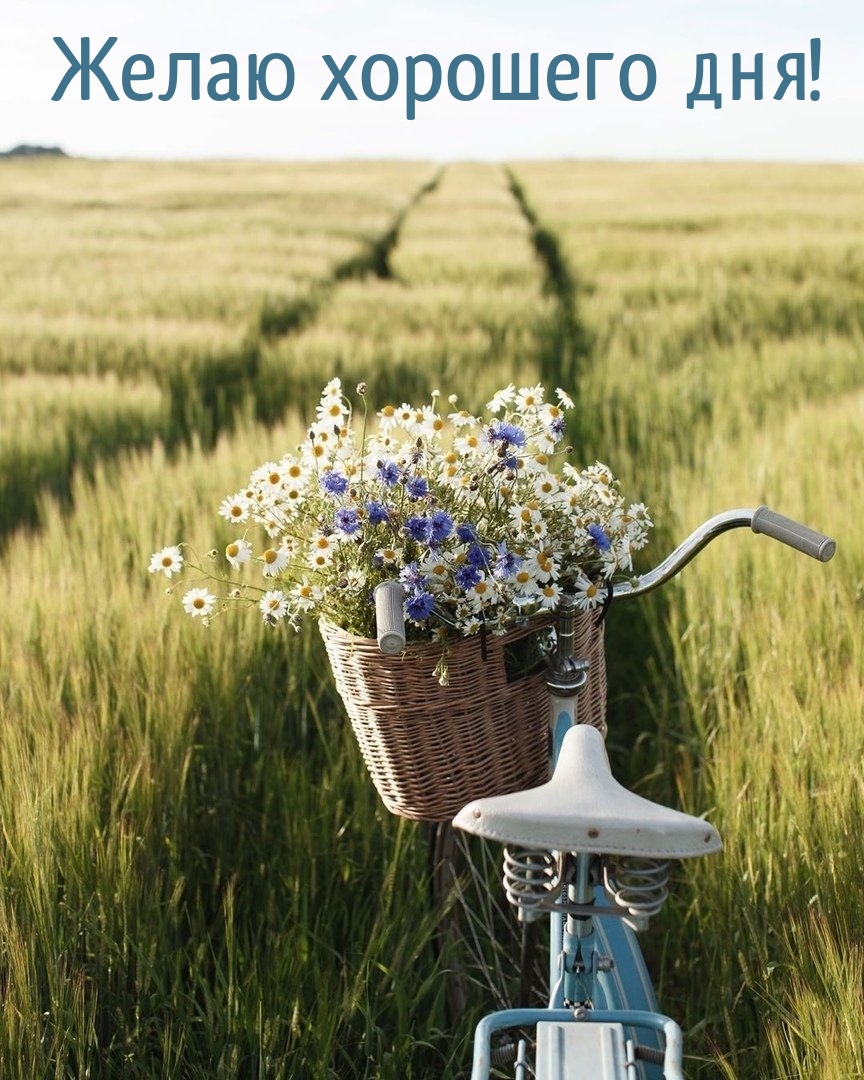 Желаю хорошего дня!