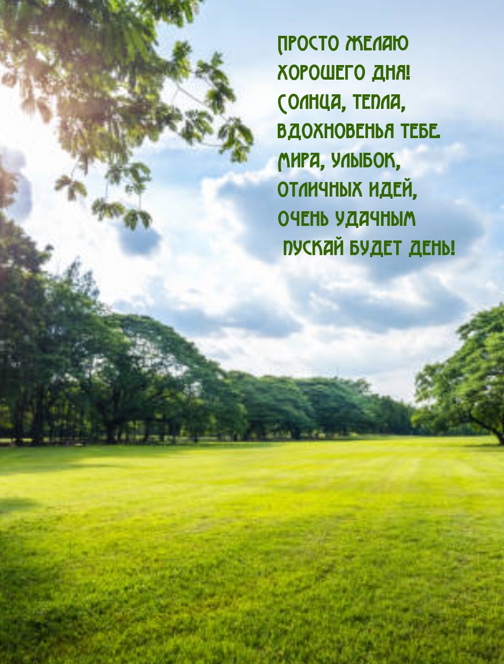 Просто желаю хорошего дня! Солнца, тепла, вдохновенья тебе.