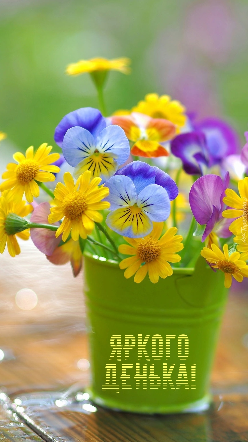 Яркого денька!