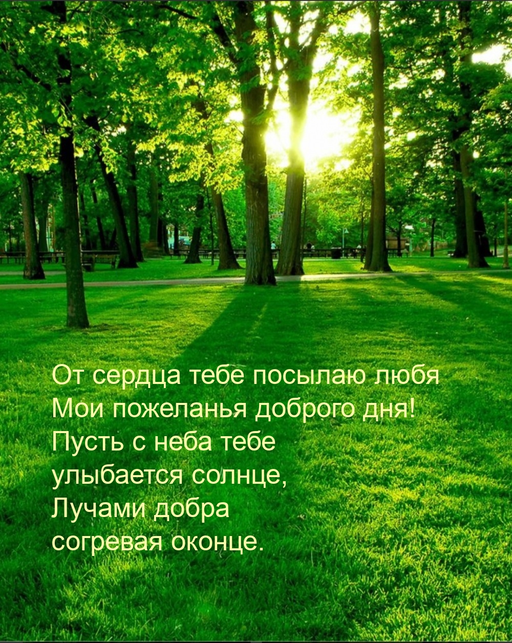 От сердца тебе посылаю любя мои пожеланья доброго дня!