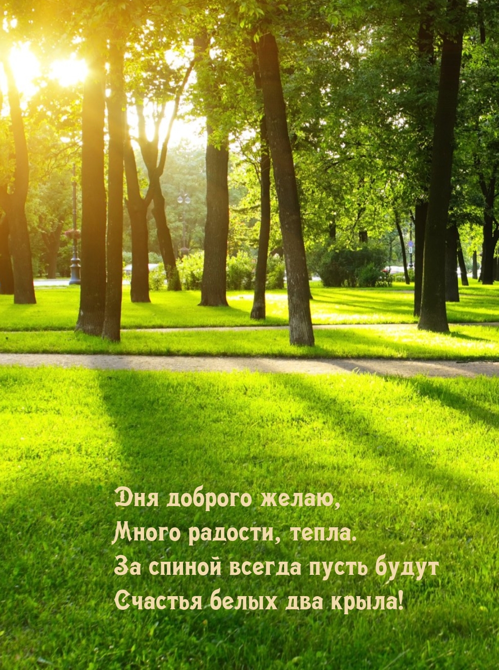 Дня доброго желаю, много радости, тепла.