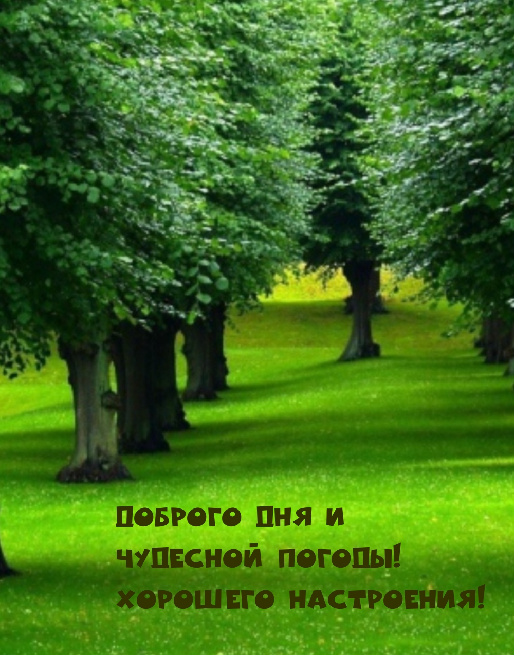 Доброго дня и чудесной погоды! Хорошего настроения!