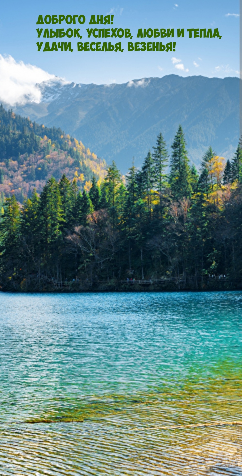 Доброго дня! Улыбок, успехов, любви и тепла
