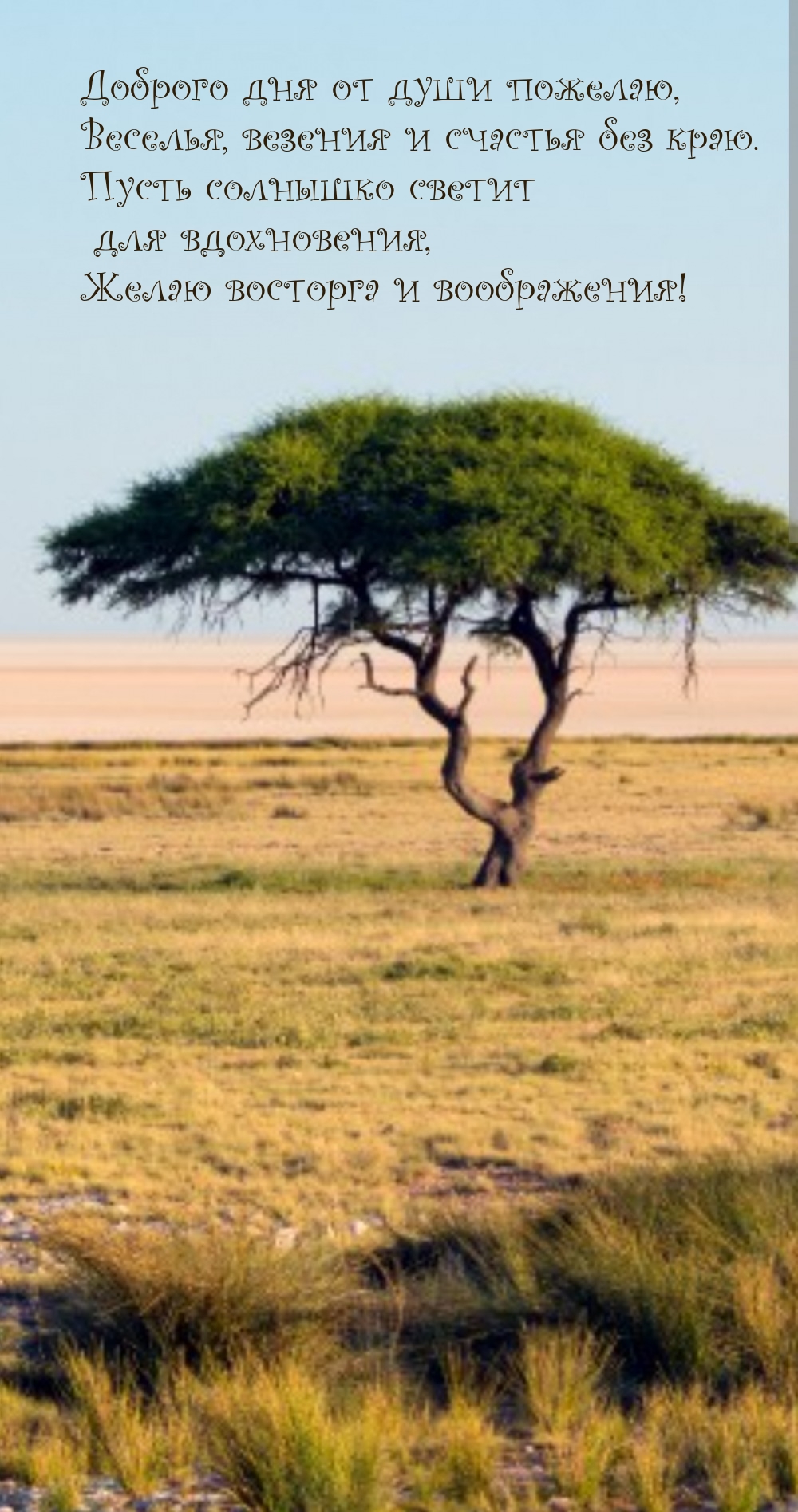 Доброго дня от души пожелаю, веселья, везения и счастья без краю.