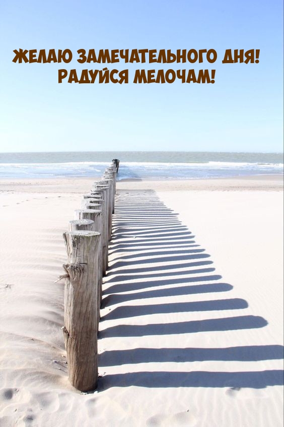 Желаю замечательного дня! Радуйся мелочам!