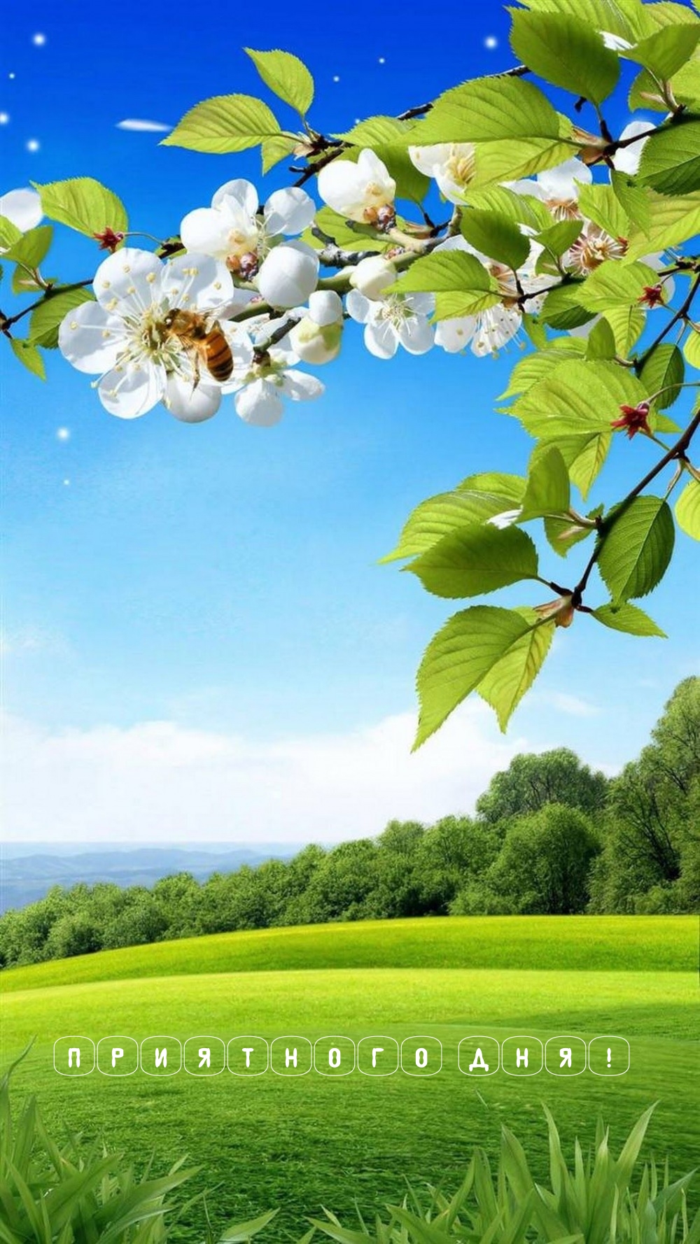 Приятного дня!