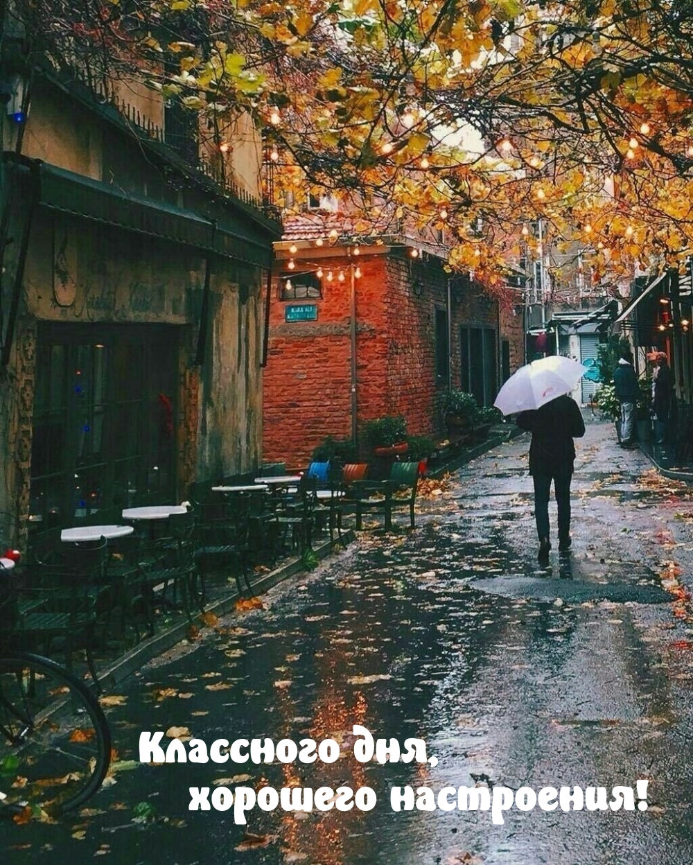 Классного дня, хорошего настроения!