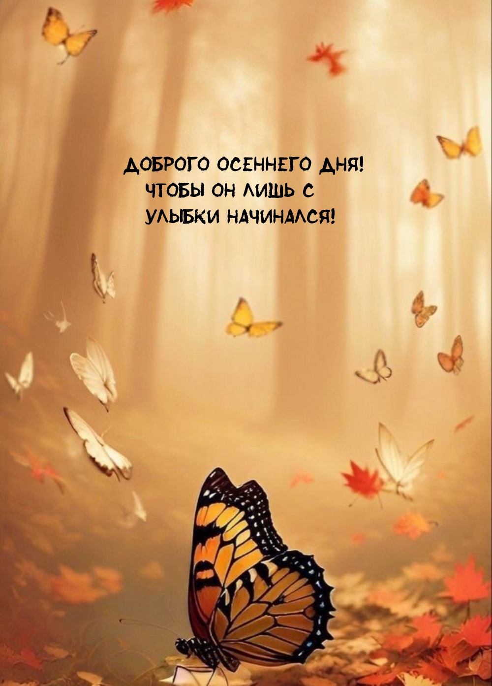 Доброго осеннего дня! Чтобы он лишь с улыбки начинался!