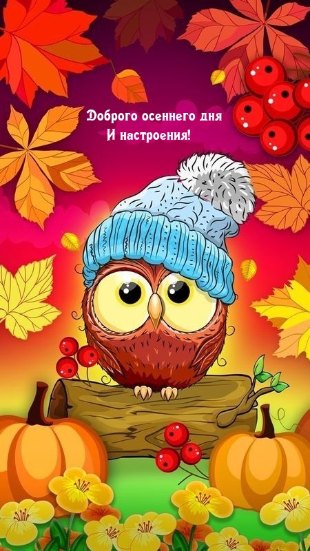 Доброго осеннего дня и настроения!