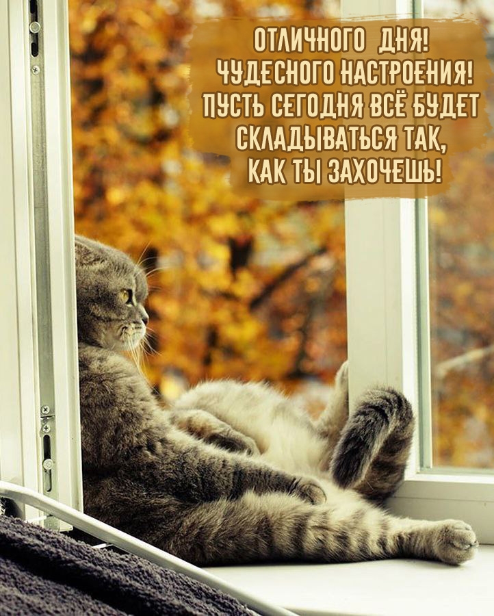 Отличного дня! Чудесного настроения!