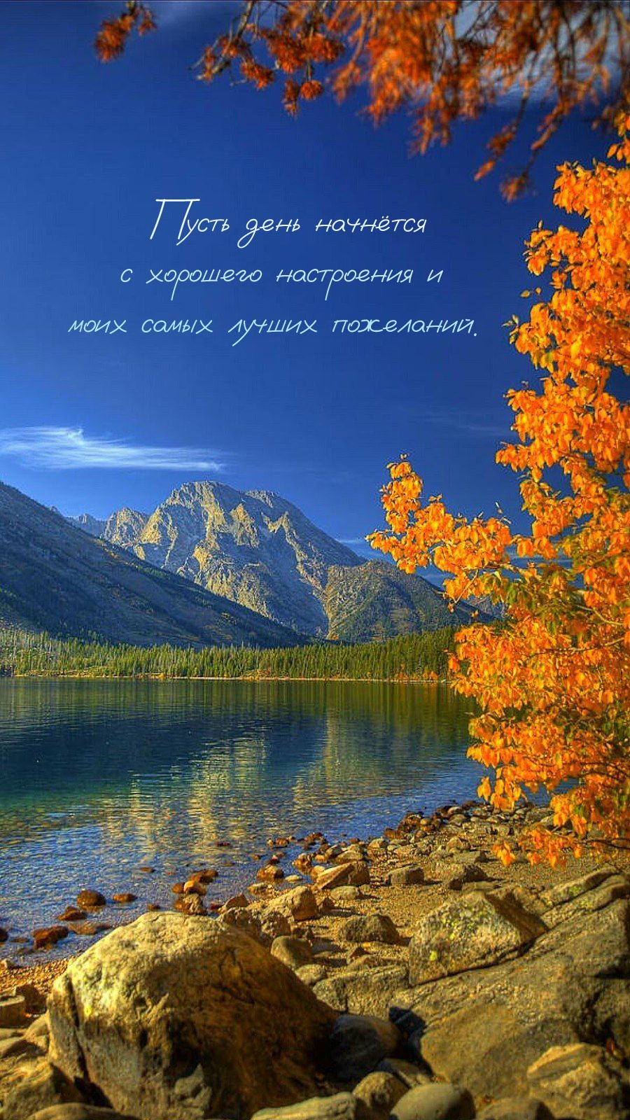 Пусть день начнётся с хорошего настроения и лучших пожеланий.