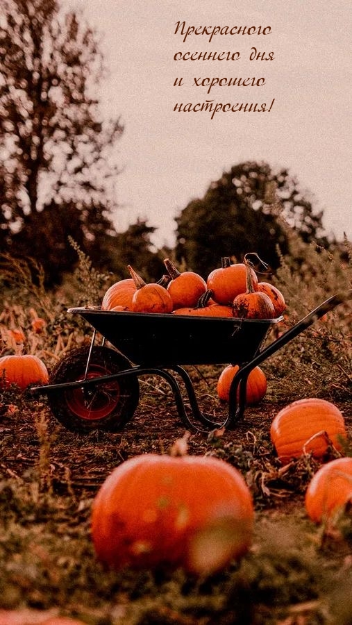 Прекрасного осеннего дня и хорошего настроения!