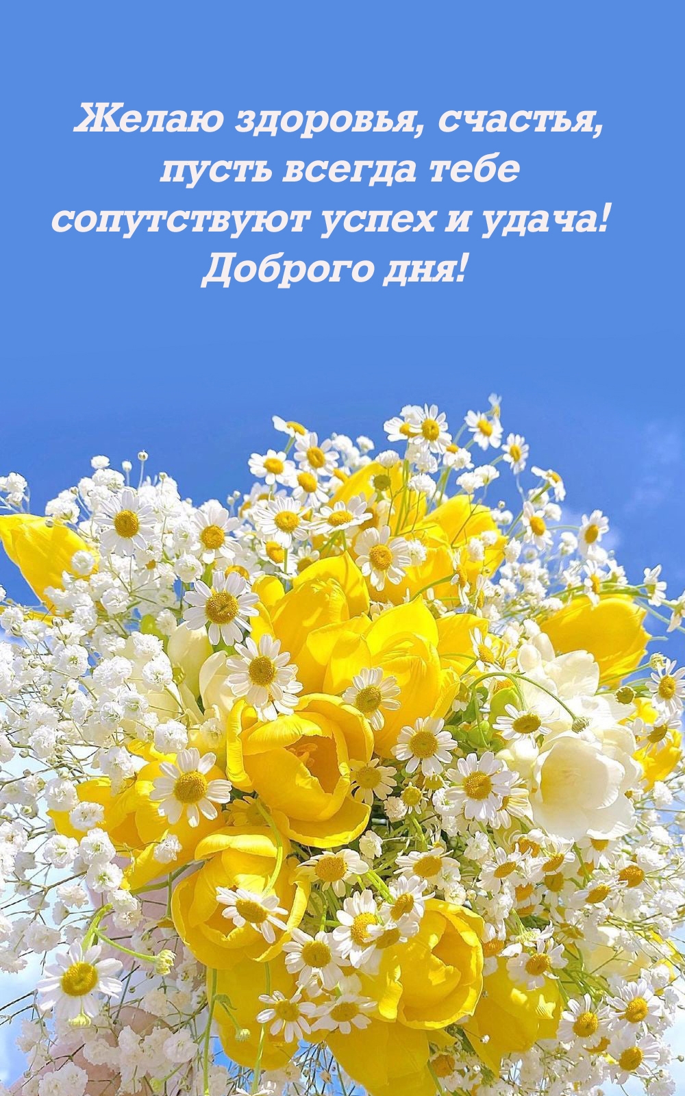 Желаю здоровья, счастья, пусть всегда сопутствуют успех и удача!  