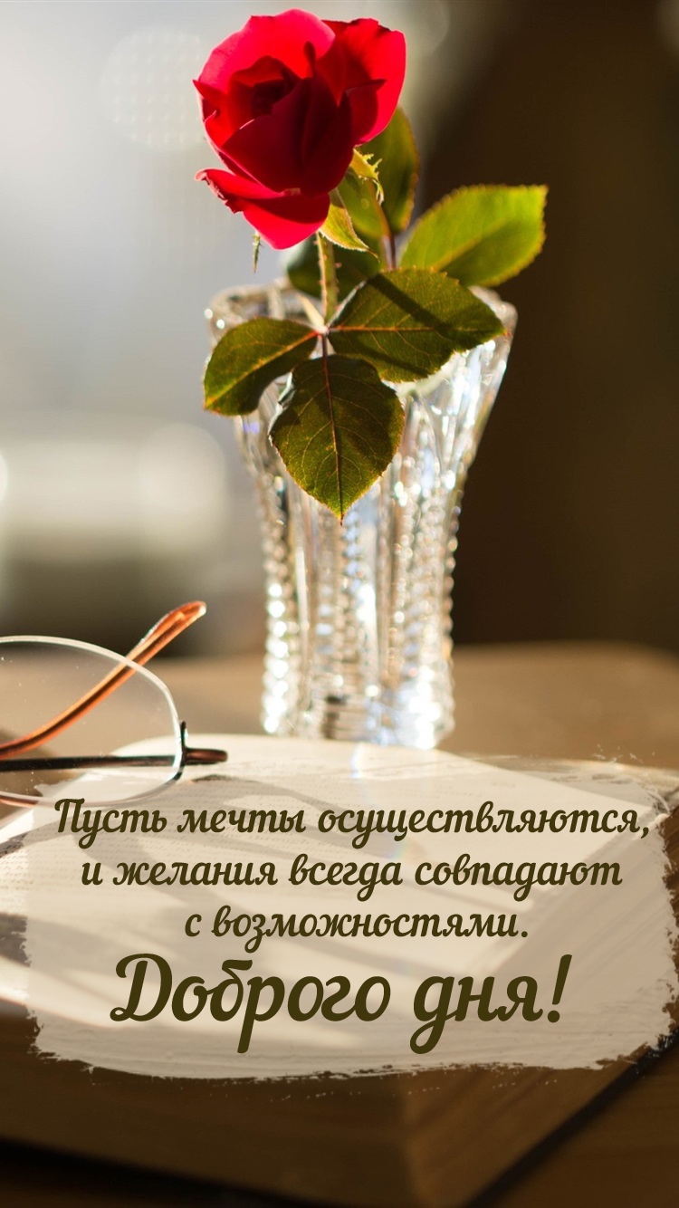 Доброго дня! Пусть мечты осуществляются