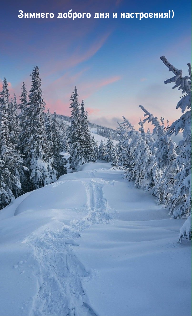 Зимнего доброго дня и настроения!)