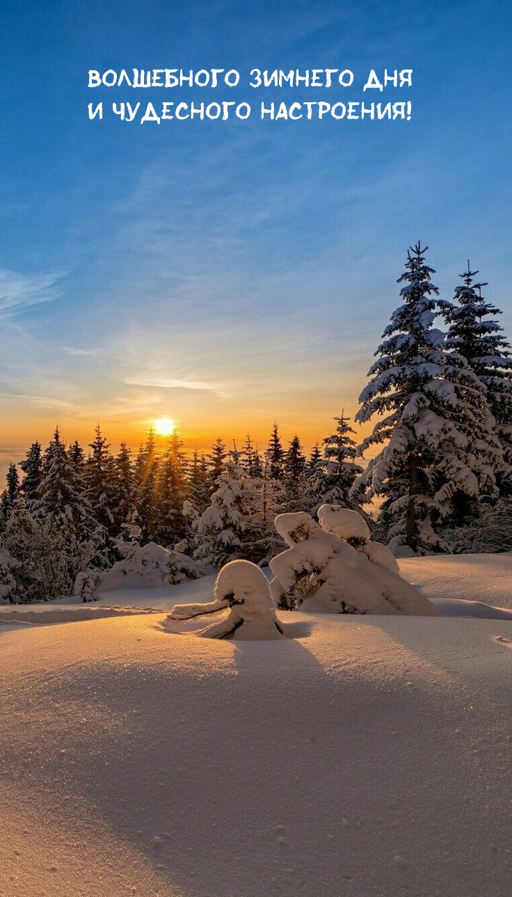 Волшебного зимнего дня и чудесного настроения!