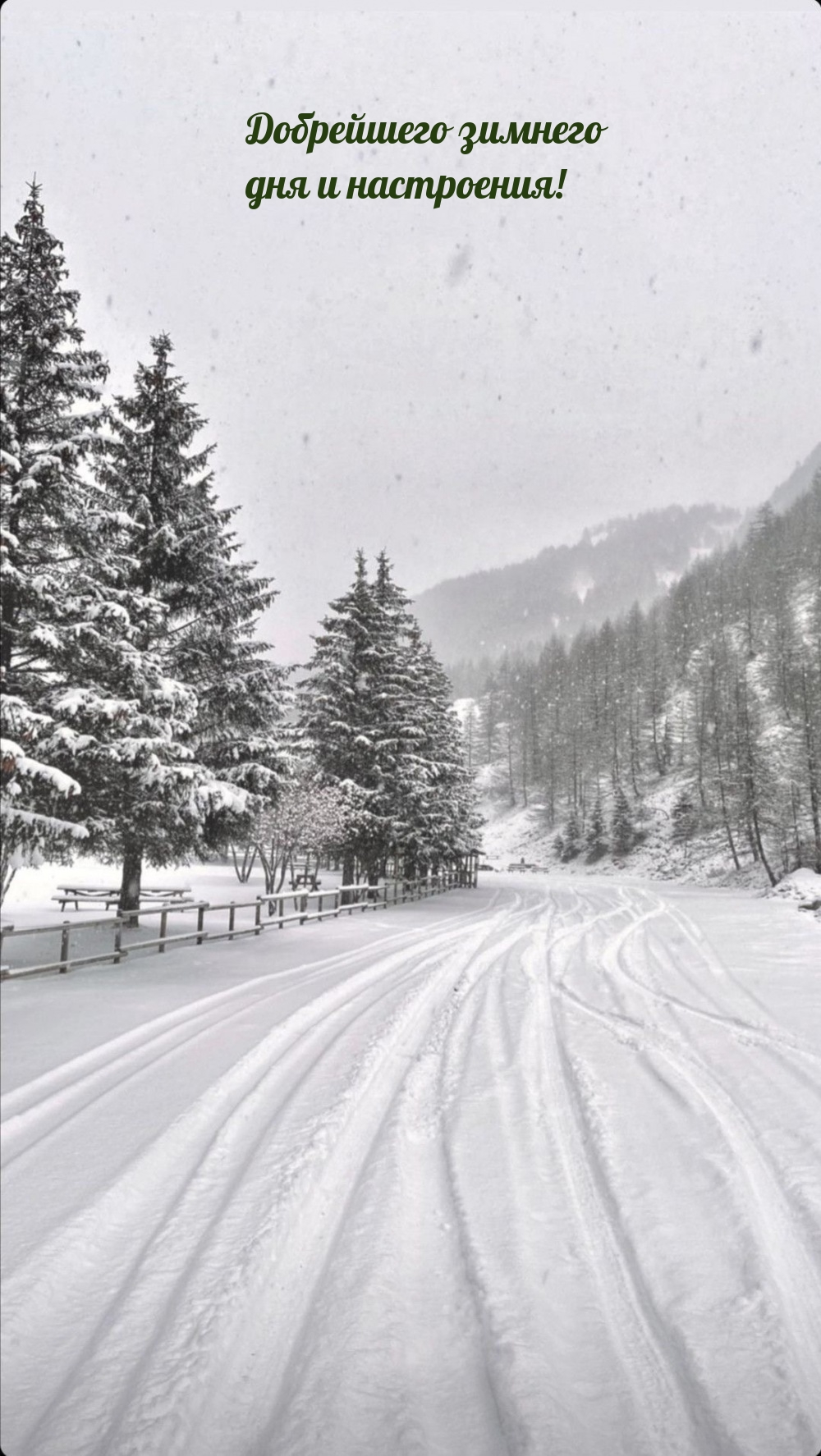 Добрейшего зимнего дня и настроения!